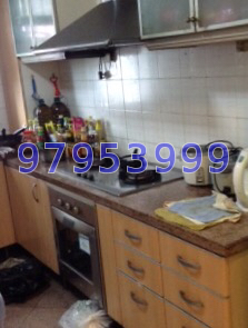 Blk 453 Choa Chu Kang Avenue 4 (Choa Chu Kang), HDB Executive #19666312